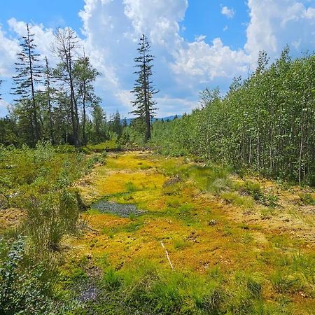 Horská Kvilda - Ubytování U Chvalů Exteriér fotografie