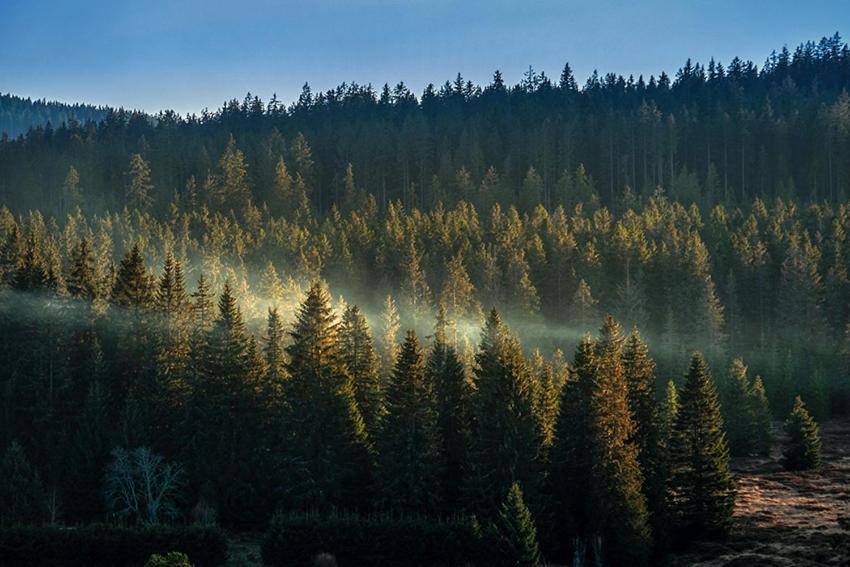 Horská Kvilda - Ubytování U Chvalů Exteriér fotografie