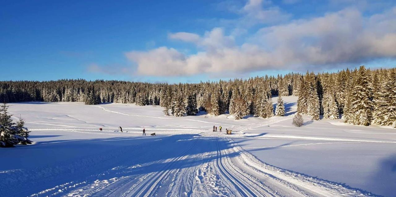 Horská Kvilda - Ubytování U Chvalů Exteriér fotografie