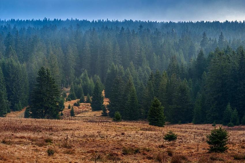 Horská Kvilda - Ubytování U Chvalů Exteriér fotografie