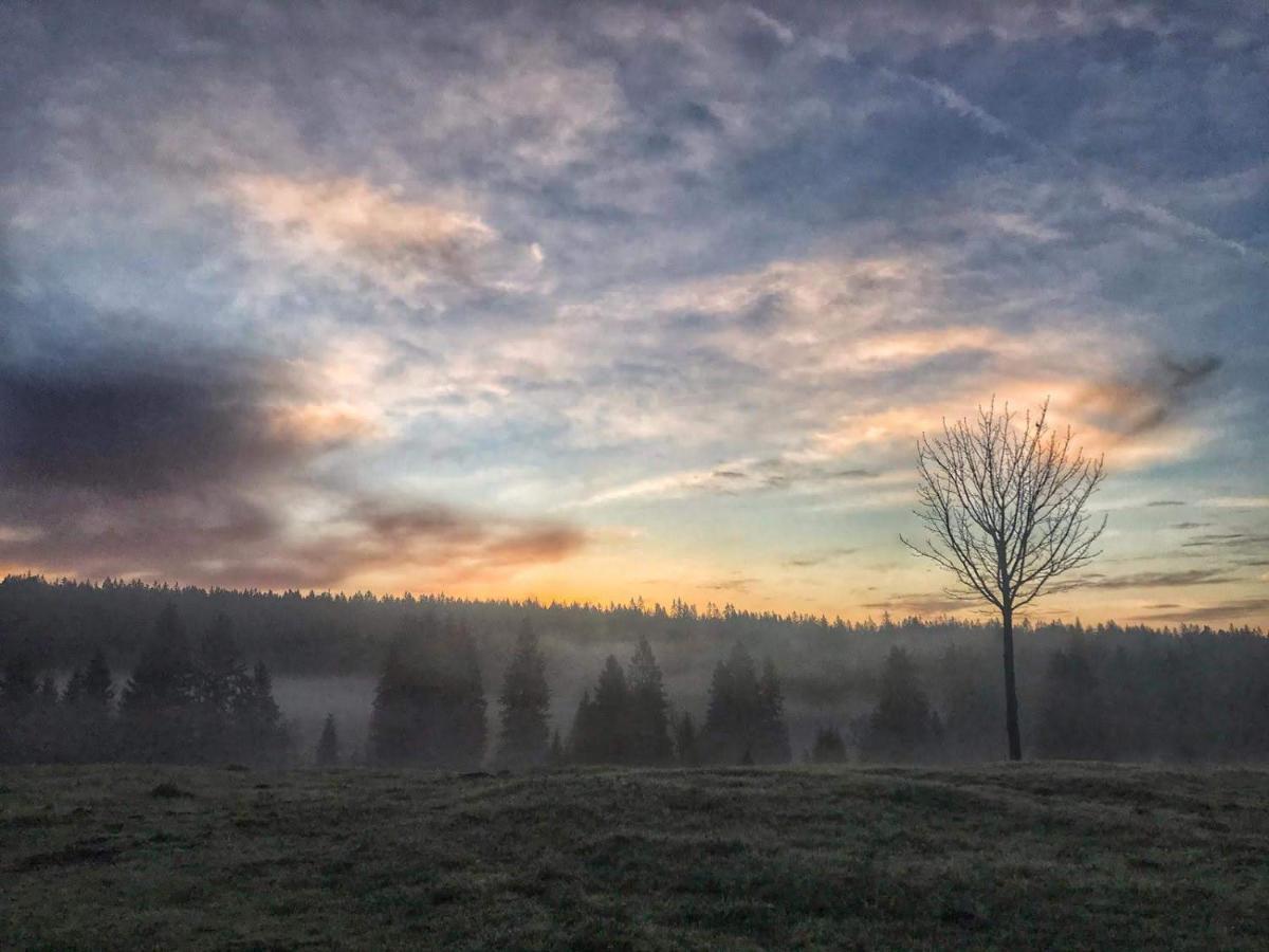 Horská Kvilda - Ubytování U Chvalů Exteriér fotografie