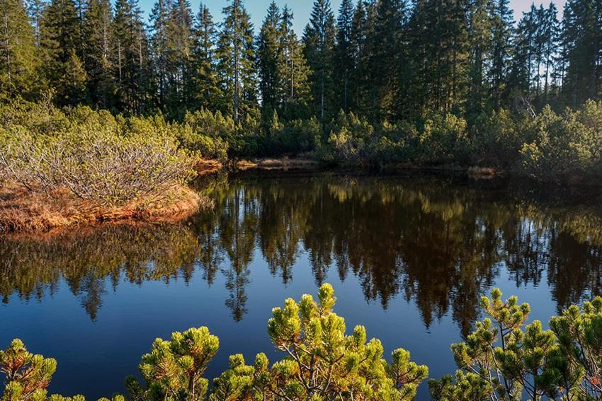 Horská Kvilda - Ubytování U Chvalů Exteriér fotografie