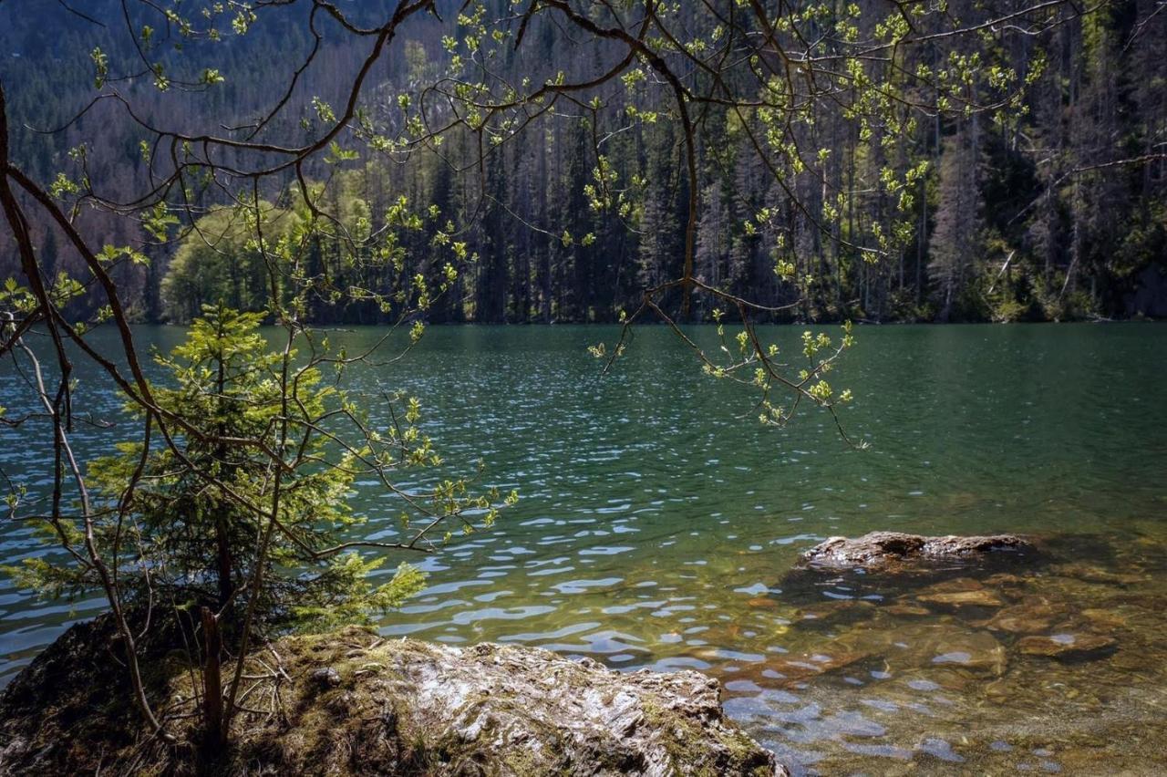 Horská Kvilda - Ubytování U Chvalů Exteriér fotografie