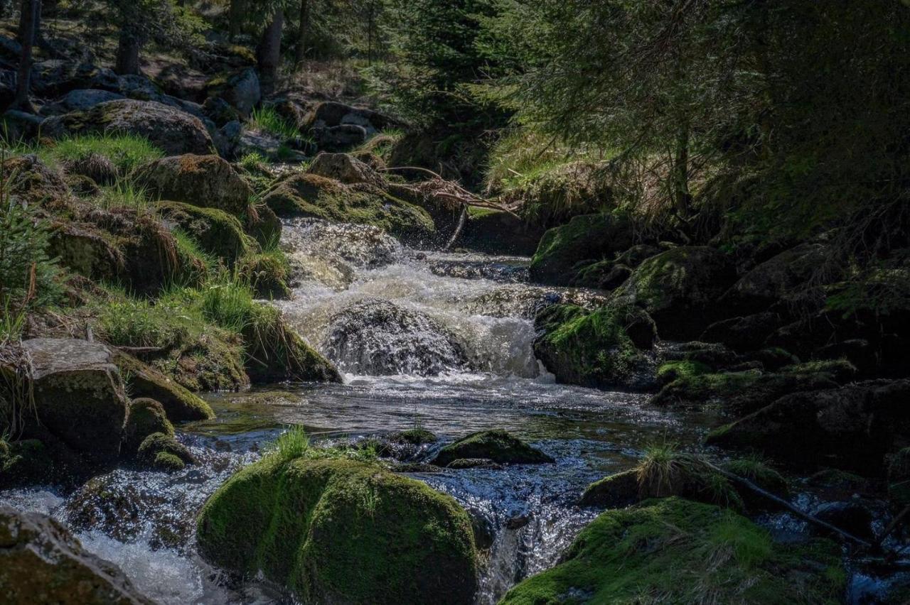 Horská Kvilda - Ubytování U Chvalů Exteriér fotografie