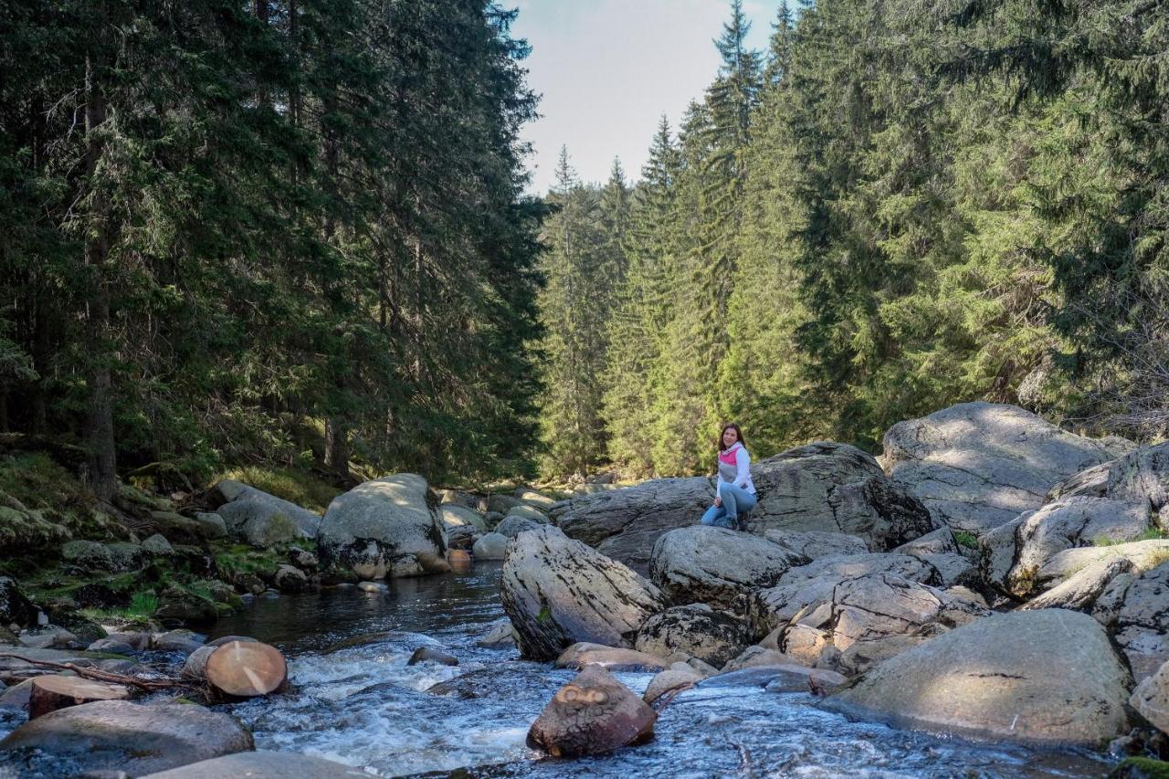 Horská Kvilda - Ubytování U Chvalů Exteriér fotografie