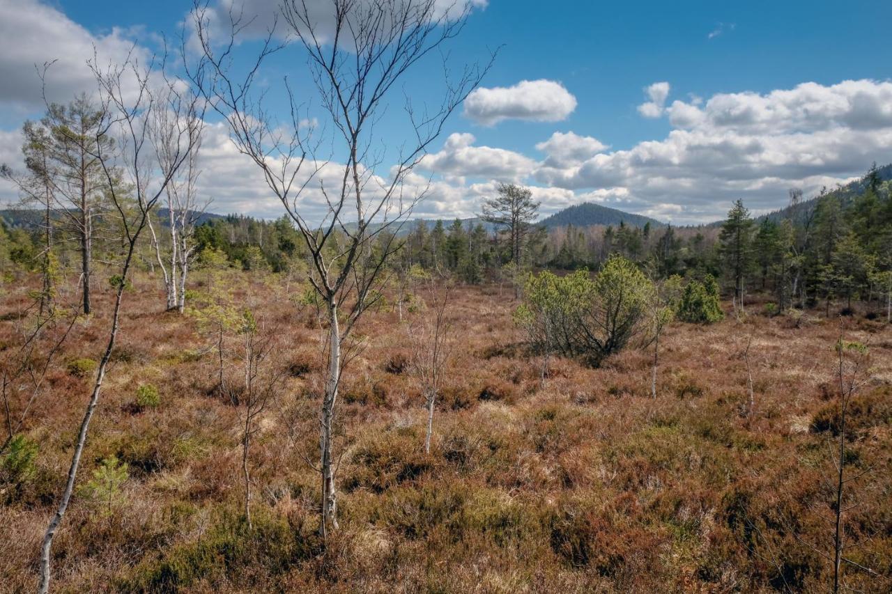 Horská Kvilda - Ubytování U Chvalů Exteriér fotografie