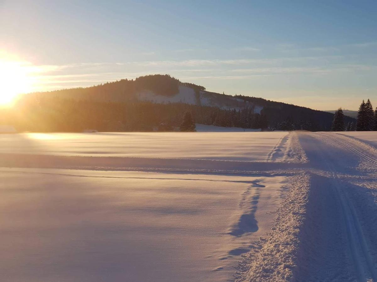 Horská Kvilda - Ubytování U Chvalů Exteriér fotografie