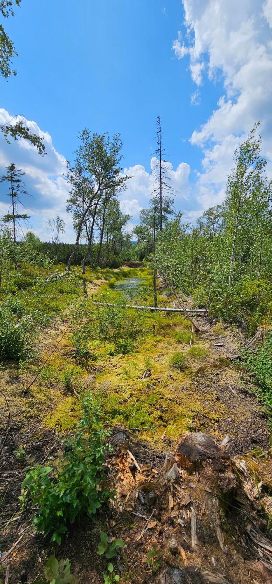 Horská Kvilda - Ubytování U Chvalů Exteriér fotografie