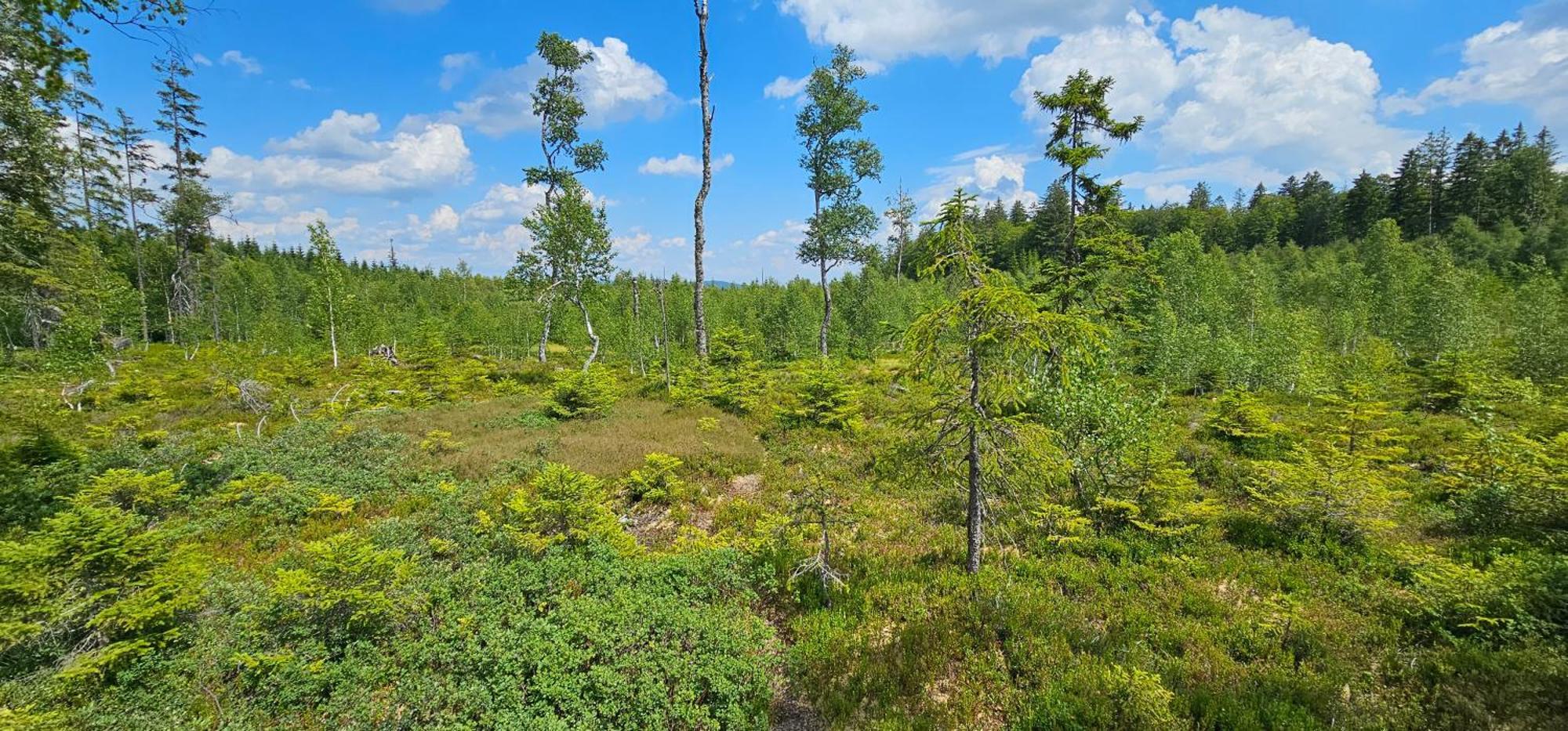 Horská Kvilda - Ubytování U Chvalů Exteriér fotografie