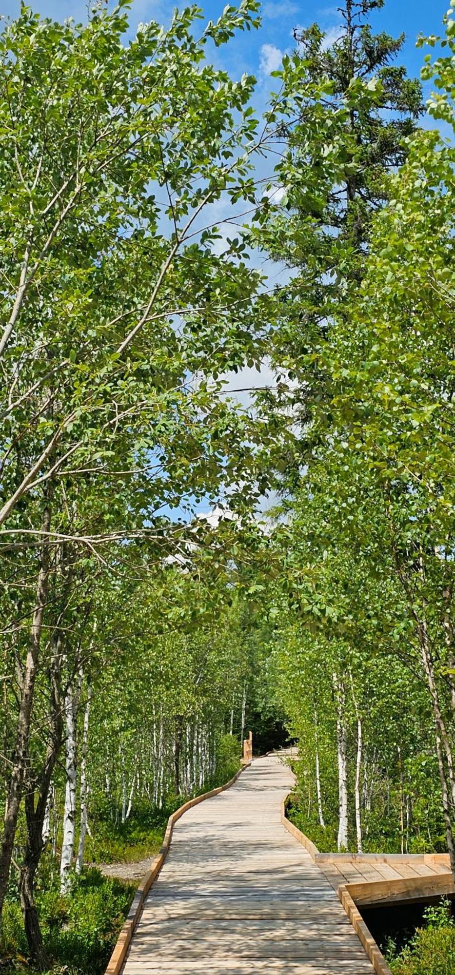 Horská Kvilda - Ubytování U Chvalů Exteriér fotografie